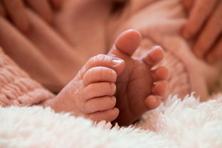 巨细胞病毒感染能怀孕吗